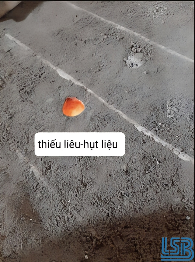 thieu lieu